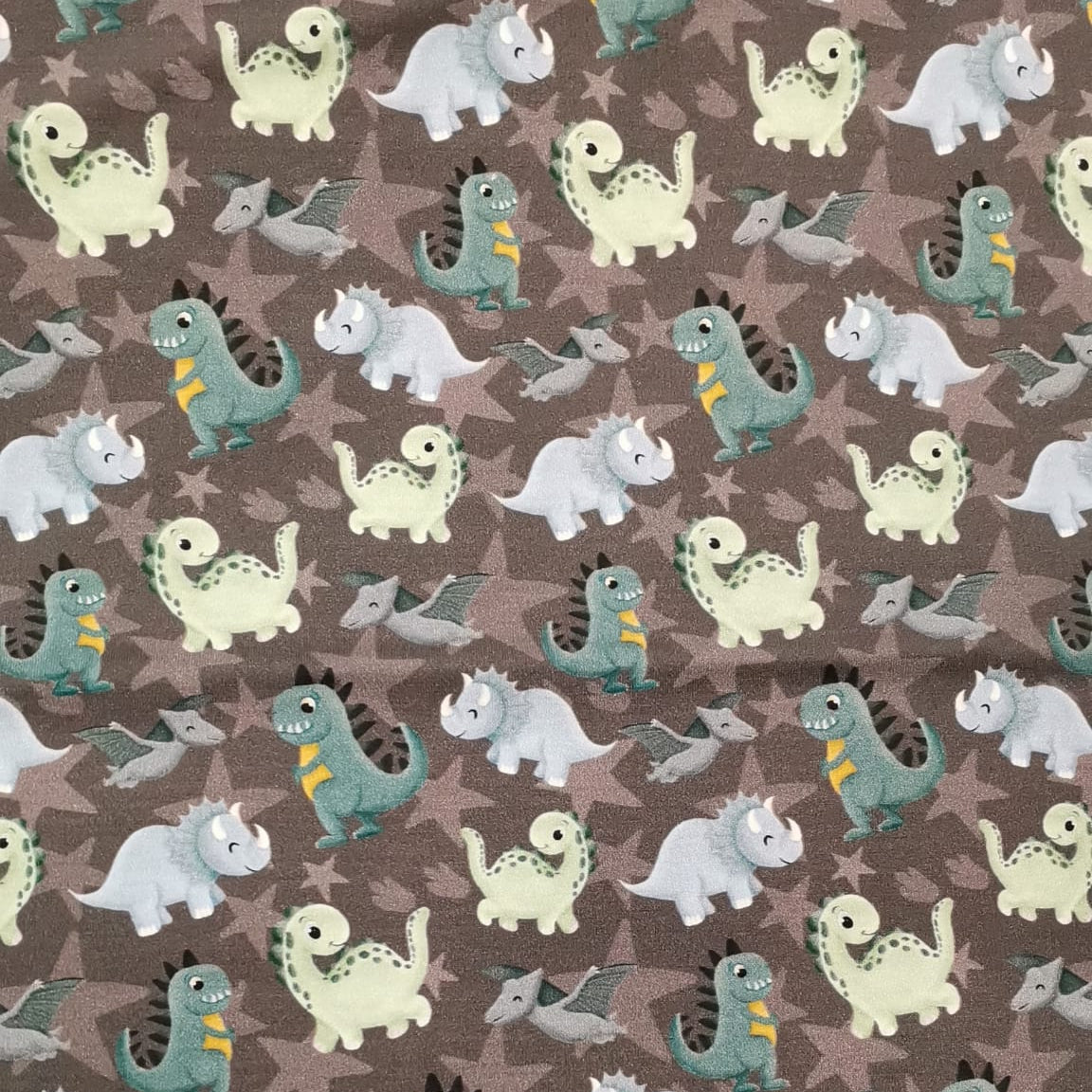 Sweat Dino Wonderland Hilco