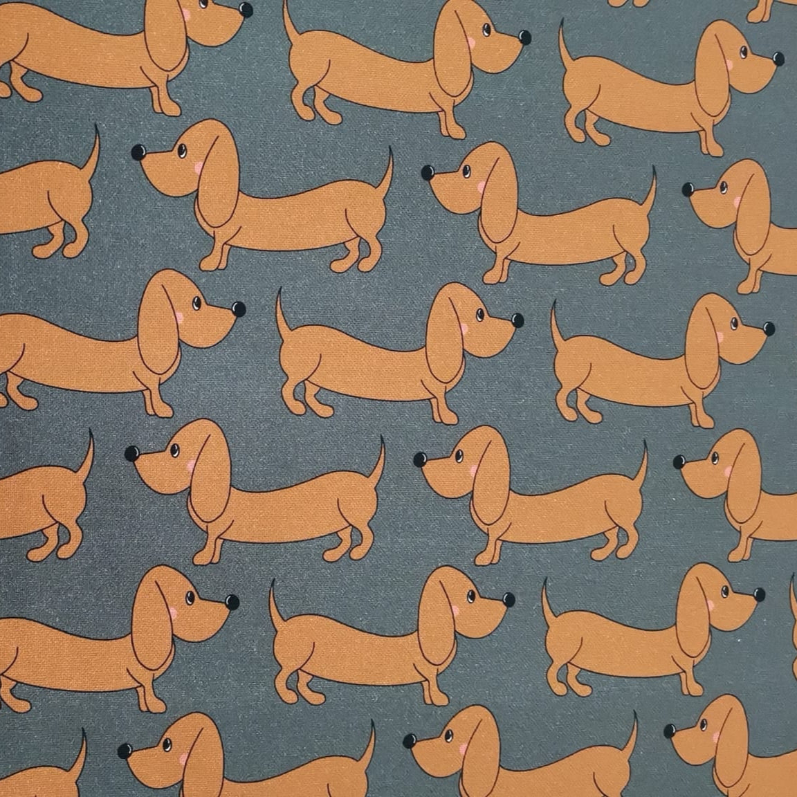 Canvas Dackel Swafing