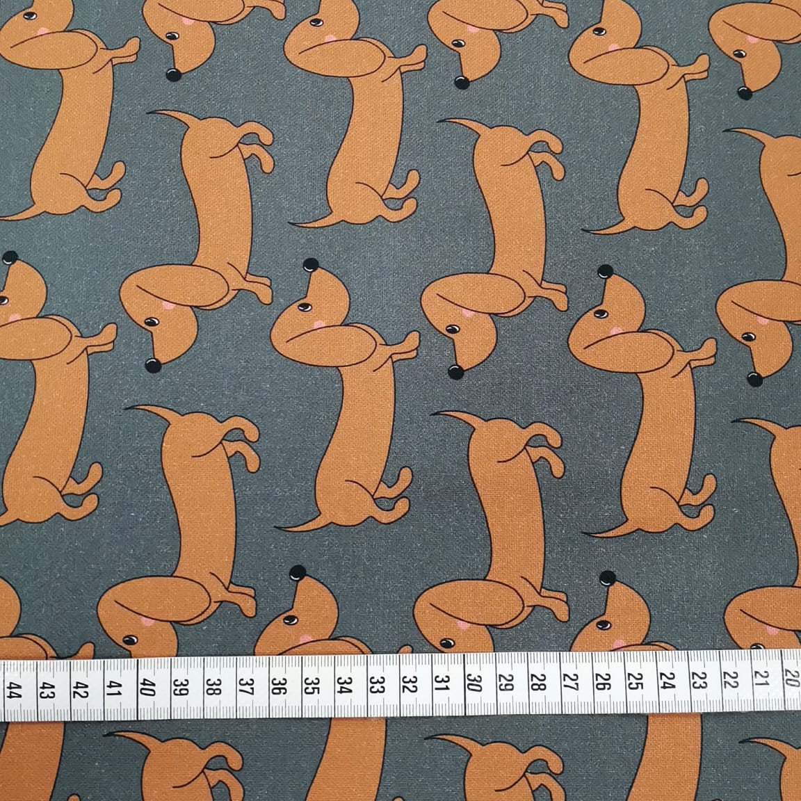 Cherry Picking Canvas Dackel