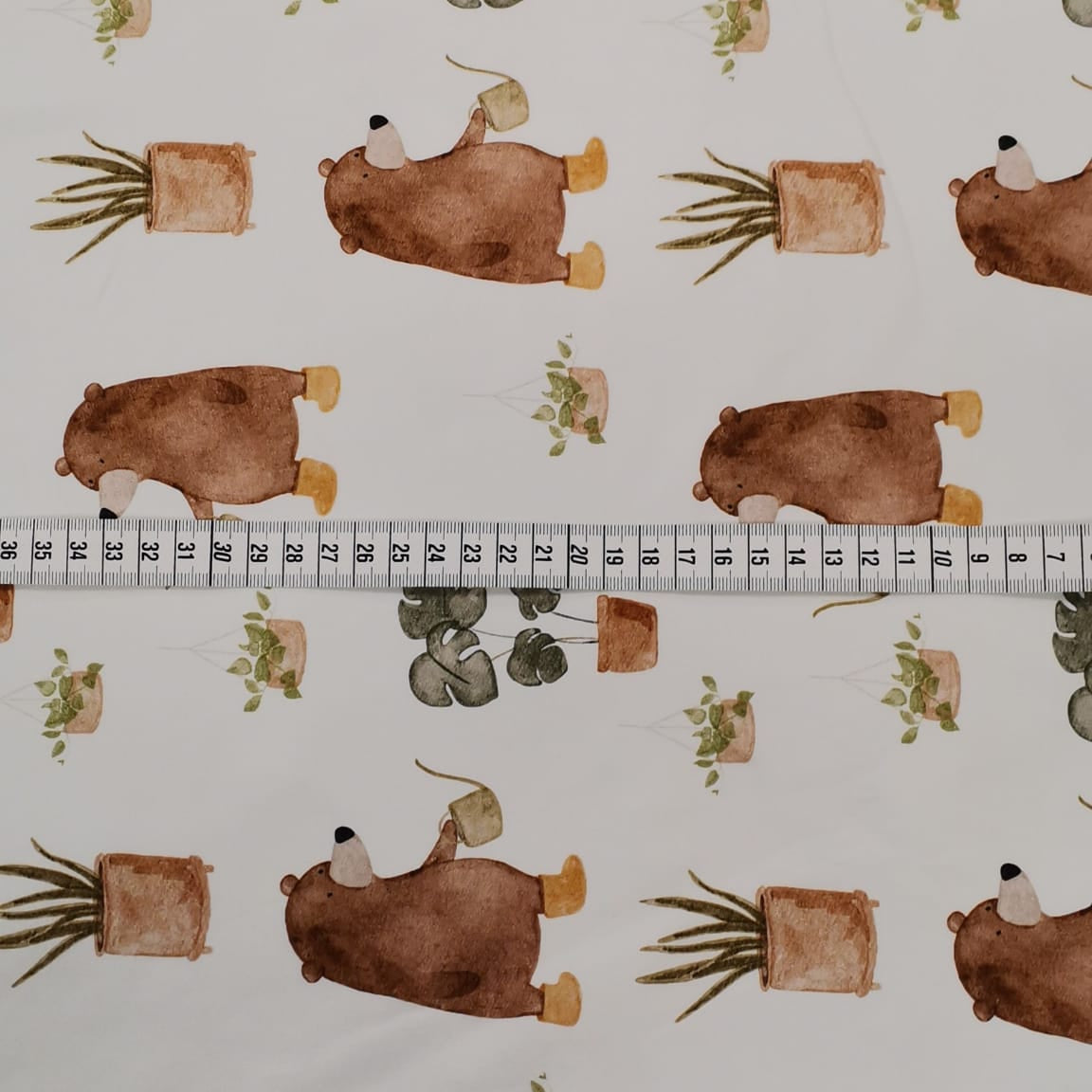 jerseystoff mit bär Gießbär