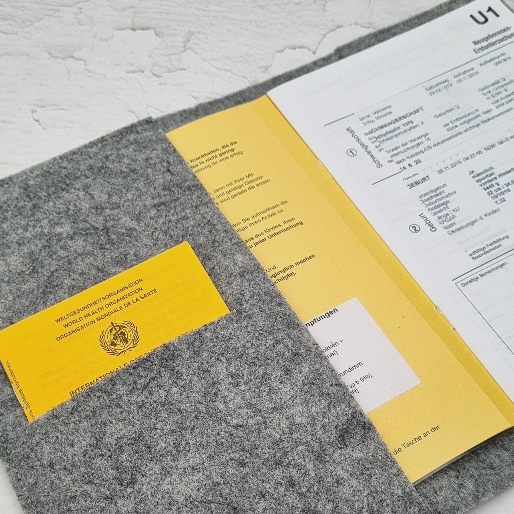 Hülle Impfpass Untersuchungsheft