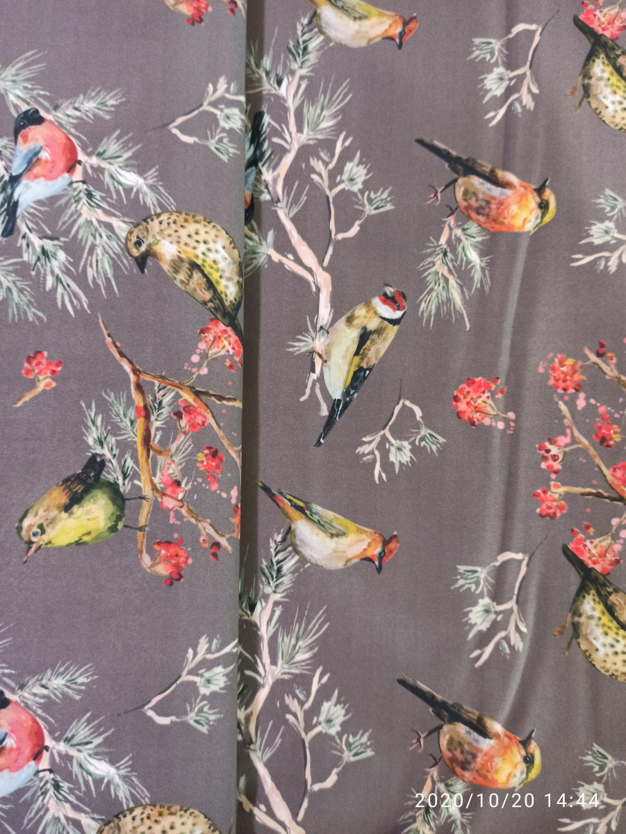 Softshell, Vögel auf Ast